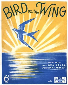 Images Dated 29th August 2017: Bird on the Wing - Music Sheet Cover