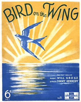 Images Dated 29th August 2017: Bird on the Wing - Music Sheet Cover