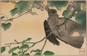 Birds-and-flowers print