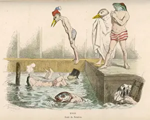 Birds Bathing