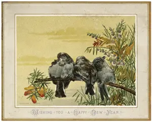 Warmth Prints: Birds on a Bough