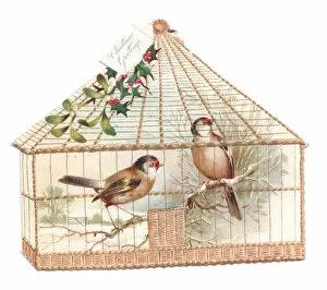 Images Dated 3rd December 2015: Two birds in a cage on a cutout Christmas card