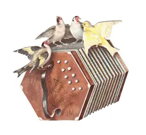 Concertina Prints: Birds on a concertina-shaped Christmas card