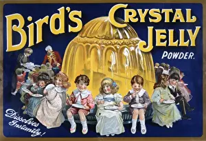 Birds Crystal Jelly Powder