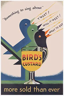 Bird's Custard