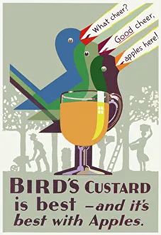 Bird's Custard