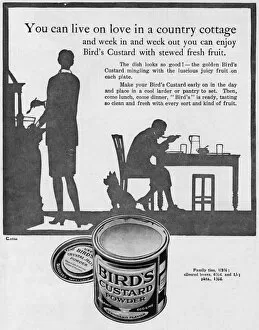 Puddings Gallery: Birds Custard advertisement 1927