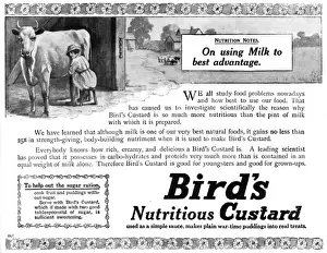 Birds custard advertisement, WW1