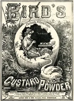 Birds Custard Powder advert