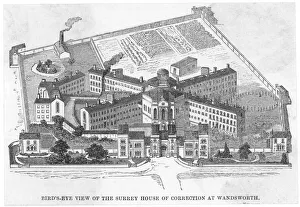 Correction Collection: Birds Eye / Wandsworth