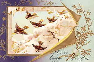 Birds in flight on a New Year card