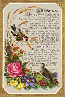 Birds and flowers on a Christmas card