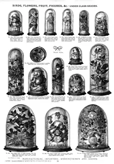 Stuffed Prints: Birds, flowers, fruit, figures under glass shades, Plate 76