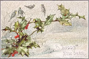 Birds and holly in the snow on a New Year card