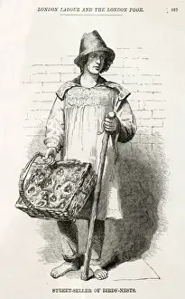 Birds-Nests Seller