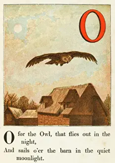 1867 Prints: Birds / Owls / Alphabet