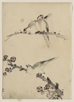 Three birds perched on branches, one with blossoms