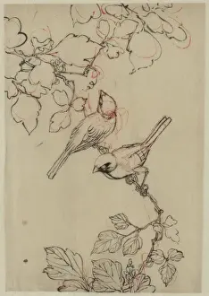 Two birds perched on grapevines