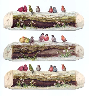 Victorian and Edwardian Christmas Cards Gallery: Birds perched on logs on three cutout Christmas cards