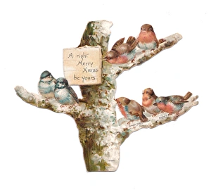 Images Dated 3rd December 2015: Birds perched in a tree on a cutout Christmas card
