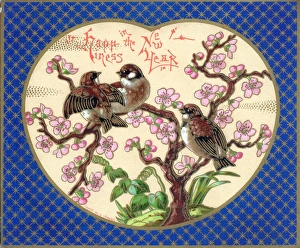 Sparrow Gallery: Birds with pink blossom on a New Year card