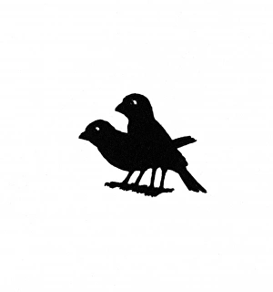 Images Dated 28th October 2011: Two birds on title page, waiting for crumbs