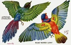 Birds on the Wing cut out