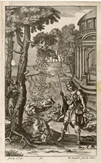 Pious Gallery: BIRTH OF APICULTURE