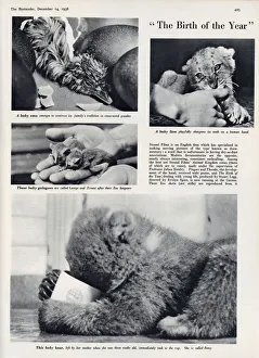 Images Dated 18th June 2021: The Birth of the Year, Evelyn Spice film