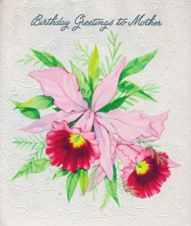 Images Dated 6th July 2018: Birthday card for Mother, with pink flowers