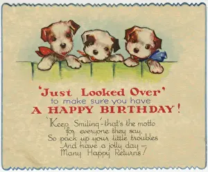 Birthday card, Puppies looking over a fence