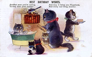 Washed Gallery: Birthday Greetings postcard - A family of Cats at bathtime