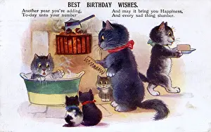 Scared Prints: Birthday Greetings postcard - A family of Cats at bathtime