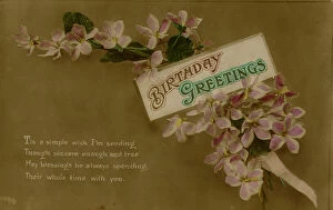 Images Dated 7th February 2012: Birthday Greetings with spray of flowers