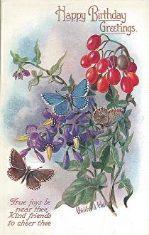Birthday postcard design with butterflies