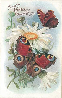 Birthday postcard design with butterflies and flowers
