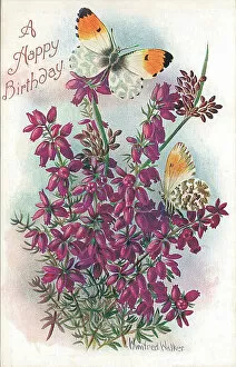 The J Salmon Archive Collection Gallery: Birthday postcard design with butterflies and flowers
