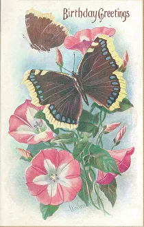 Birthday postcard design with butterflies and flowers