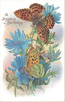Birthday postcard design with butterflies and flowers