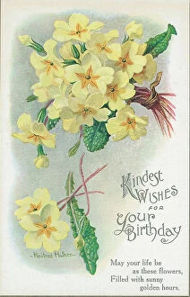 The J Salmon Archive Collection Gallery: Birthday postcard design with primsoses Postcard