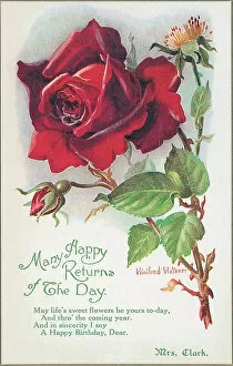 The J Salmon Archive Collection Gallery: Birthday postcard design with rose