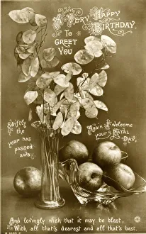 Annua Gallery: Birthday postcard, Honesty pods and apples
