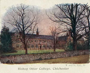 Bishop Collection: Bishop Otter College, Chichester, West Sussex