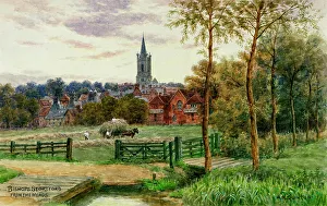 Bishops Prints: Bishop's Stortford, viewed from the Meads, Hertfordshire