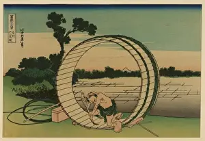 Bishu fujimigahara