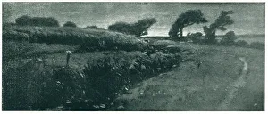 Windswept Prints: A Bit Of Windswept Country Near The Sea