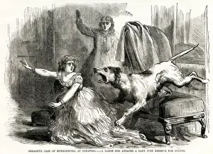 Bitten by rabid dog 1870