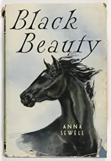Black Beauty 1957