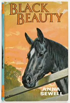 1877 Collection: Black Beauty 1967