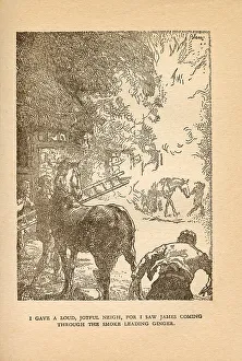 Blampied Prints: Black Beauty